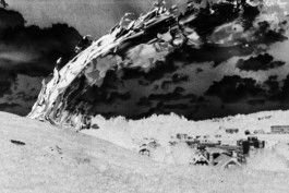 Thibaut Cudré-Mauroux