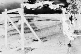 Thibaut Cudré-Mauroux