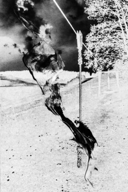 Thibaut Cudré-Mauroux