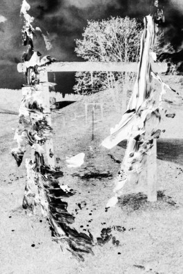 Thibaut Cudré-Mauroux