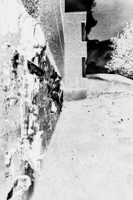 Thibaut Cudré-Mauroux