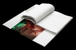 Thibaut Cudré-Mauroux