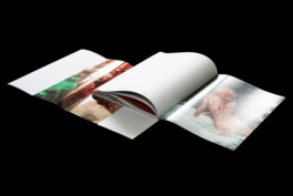 Thibaut Cudré-Mauroux