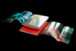 Thibaut Cudré-Mauroux