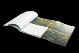 Thibaut Cudré-Mauroux