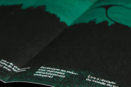 Thibaut Cudré-Mauroux