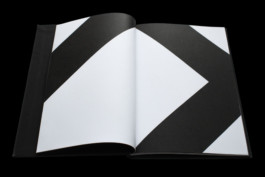 Thibaut Cudré-Mauroux