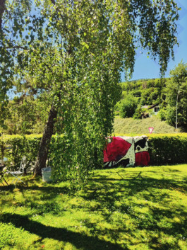 Thibaut Cudré-Mauroux