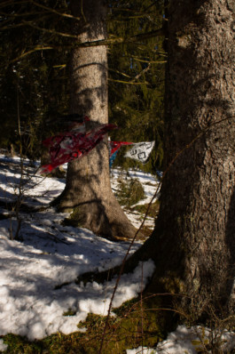 Thibaut Cudré-Mauroux