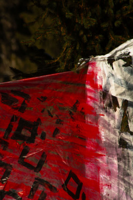 Thibaut Cudré-Mauroux