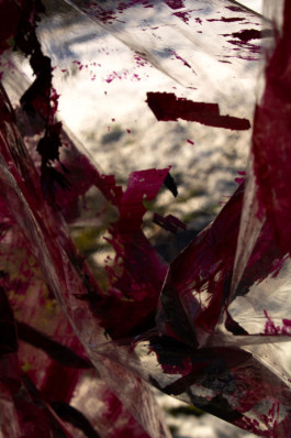 Thibaut Cudré-Mauroux