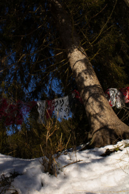 Thibaut Cudré-Mauroux