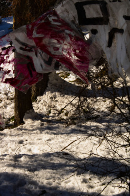 Thibaut Cudré-Mauroux
