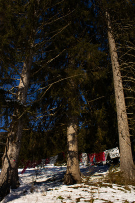 Thibaut Cudré-Mauroux