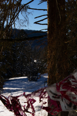 Thibaut Cudré-Mauroux