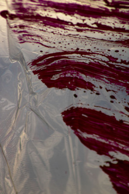 Thibaut Cudré-Mauroux