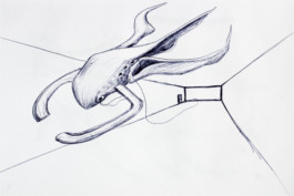  Thibaut Cudré-Mauroux