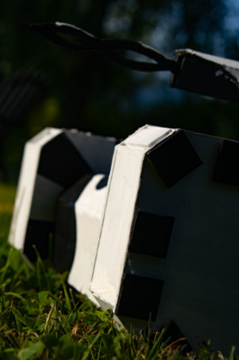  Thibaut Cudré-Mauroux