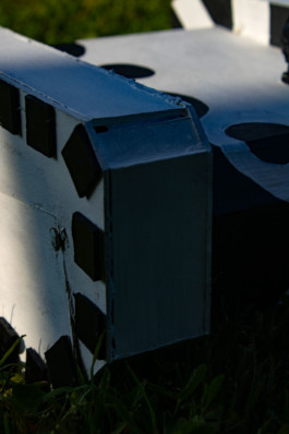  Thibaut Cudré-Mauroux