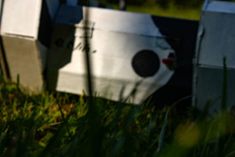  Thibaut Cudré-Mauroux